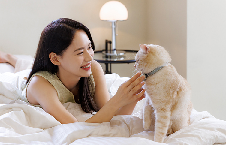 제로 펫 플러스