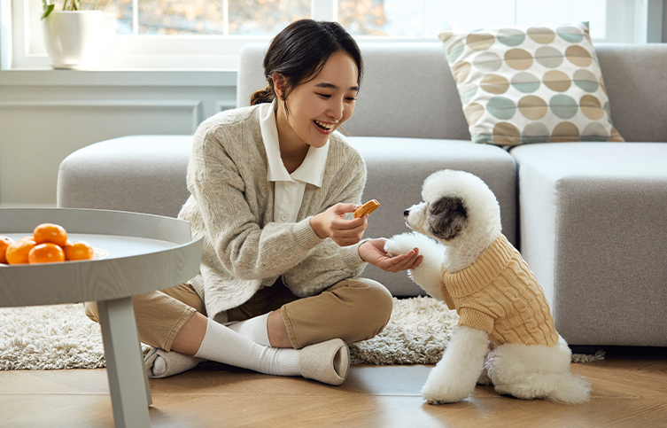 제로 펫 프리미엄